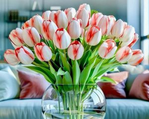 Поздравляем !