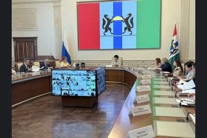 Кибердружины работают в Новосибирской области